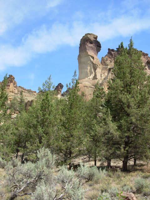 Summer '06 Sunriver 419 